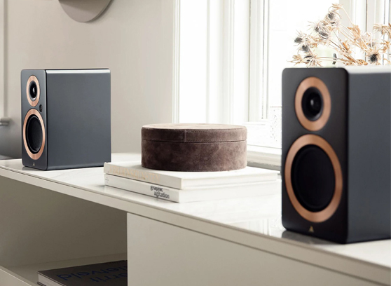 Argon Audio FORTE A4 MK2 - cecha 3